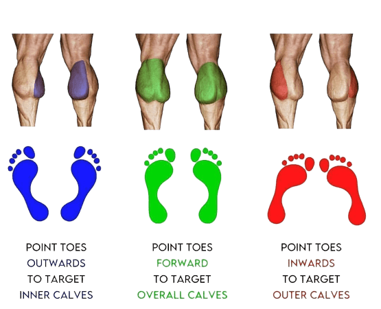 How to build calve muscles