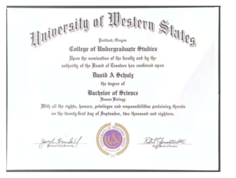 David Alexandr Schulz - author, Expert 5