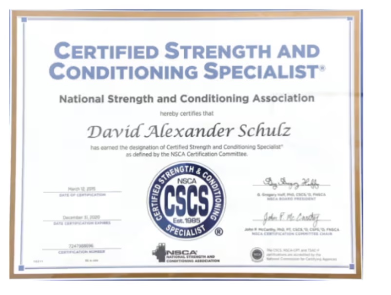 David Alexandr Schulz - author, Expert 2