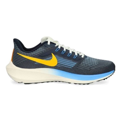 Nike Pegasus 39