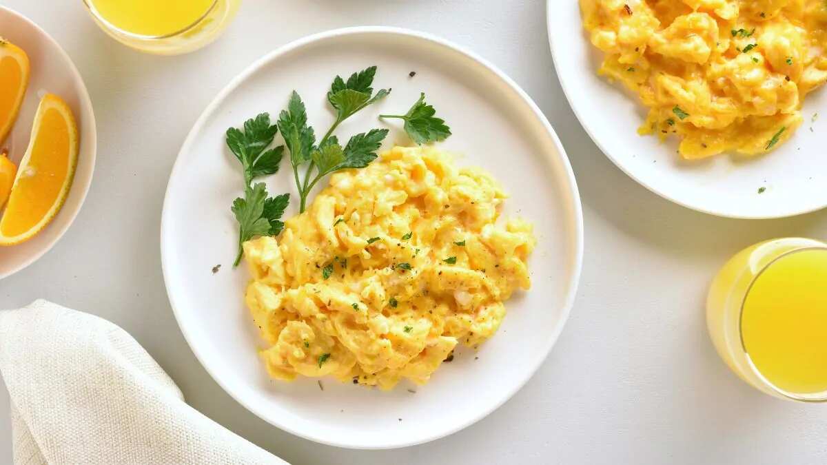 Cooked scrambled eggs