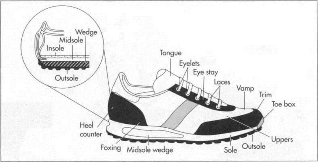 Anatomy of running shoes