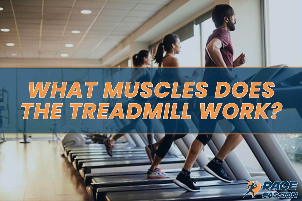 People running on treadmills in the gym